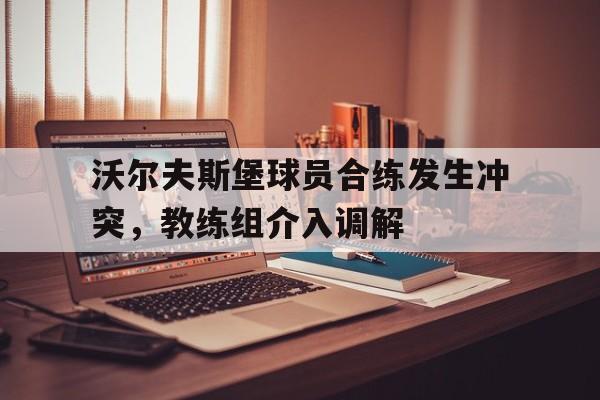 金年会app 官方网-沃尔夫斯堡球员合练发生冲突，教练组介入调解