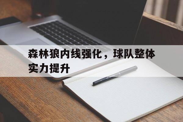 金年会下载-森林狼内线强化，球队整体实力提升
