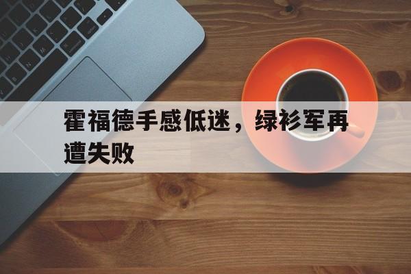 金年会下载网站-霍福德手感低迷，绿衫军再遭失败